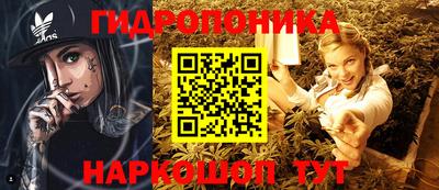 apvp Усть-Илимск
